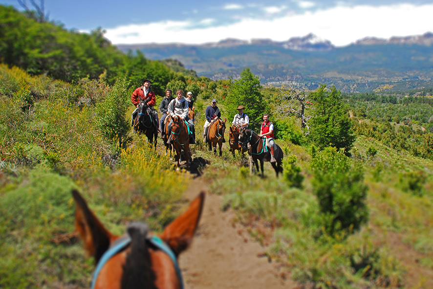 Horseback riding