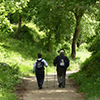 Couple walking in nature